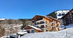 Montriond, Haute Savoie, France:  2bed plus bunk beds