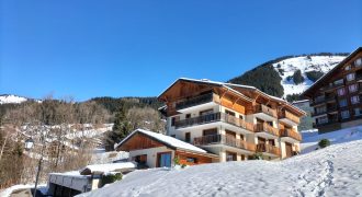 Montriond, Haute Savoie, France:  2bed plus bunk beds