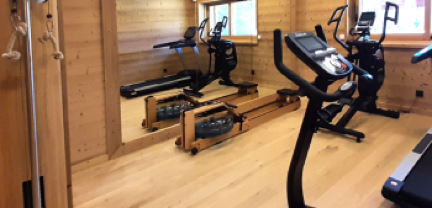 Les Deux Alpes, Auvergne-Rhone-Alpes:Telemark,1 to 4 bed apartments