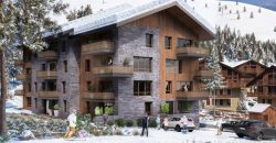 Les 2 Alpes, Auvergne-Rhone-Alpes: Emparis  1 to 3 bed apartments