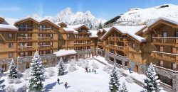 Les Deux Alpes, Auvergne-Rhone-Alpes:Telemark,1 to 4 bed apartments