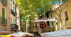 Ceret, Pyrenees-Orientales – Constelation 154, 3 bed penthouse apartment 421K Ceret, Pyrenees-Orientales – Constelation 154, 3 bed penthouse apartment 421K