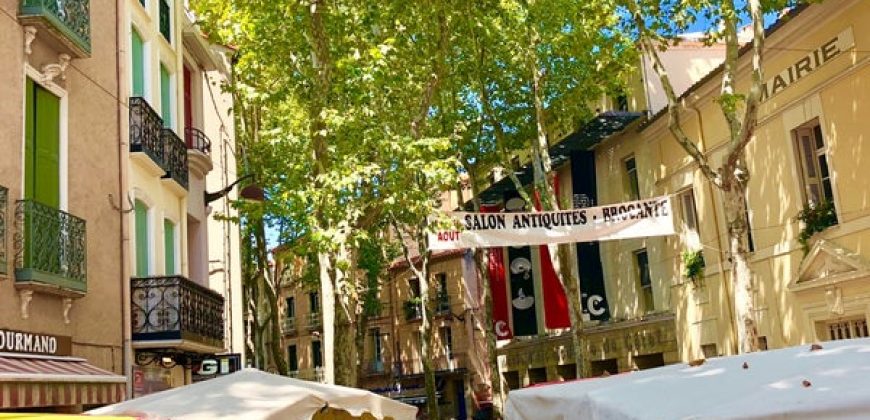 Ceret, Pyrenees-Orientales – Constelation 154, 3 bed penthouse apartment 421K Ceret, Pyrenees-Orientales – Constelation 154, 3 bed penthouse apartment 421K