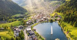 Chatel – La Bergerie:1-4 bed apartments