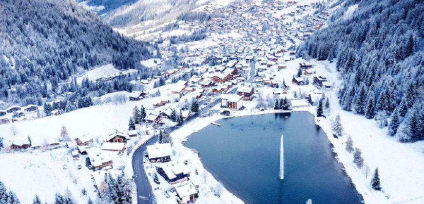Chatel – La Bergerie:1-4 bed apartments