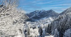 Chatel – La Bergerie:1-4 bed apartments