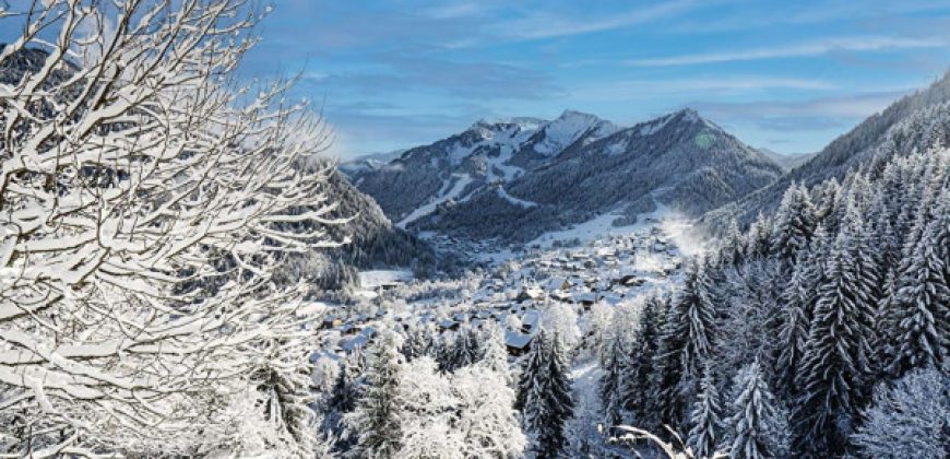 Chatel – La Bergerie:1-4 bed apartments
